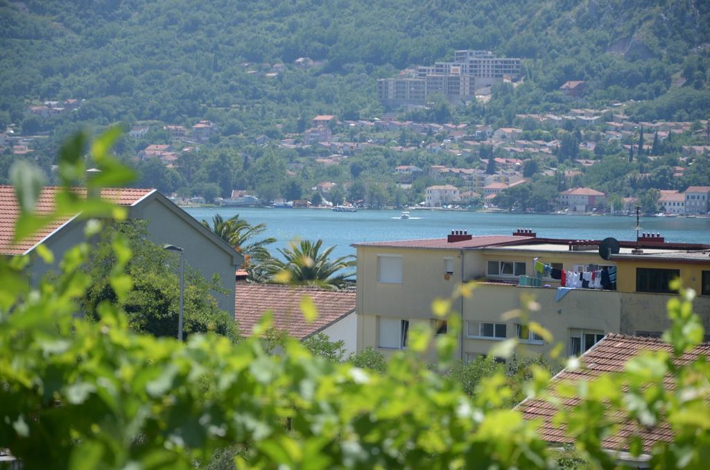 Apartments Dakovic Котор Экстерьер фото