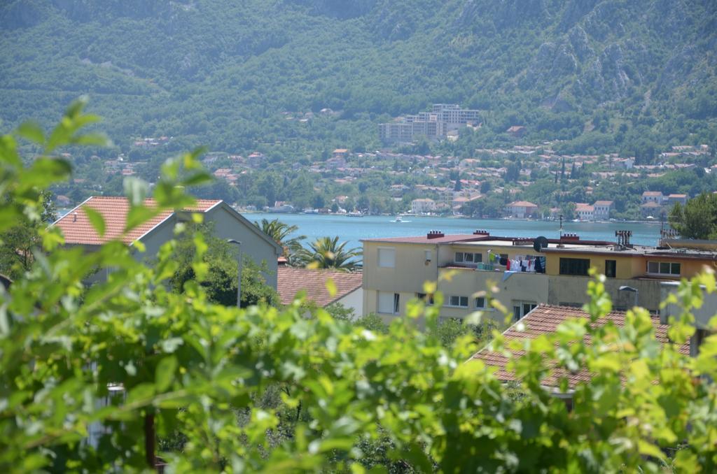 Apartments Dakovic Котор Экстерьер фото