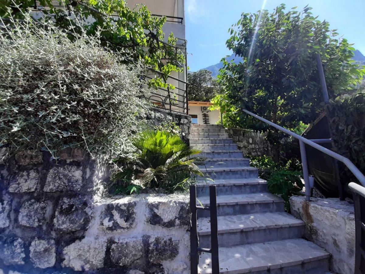 Apartments Dakovic Котор Экстерьер фото