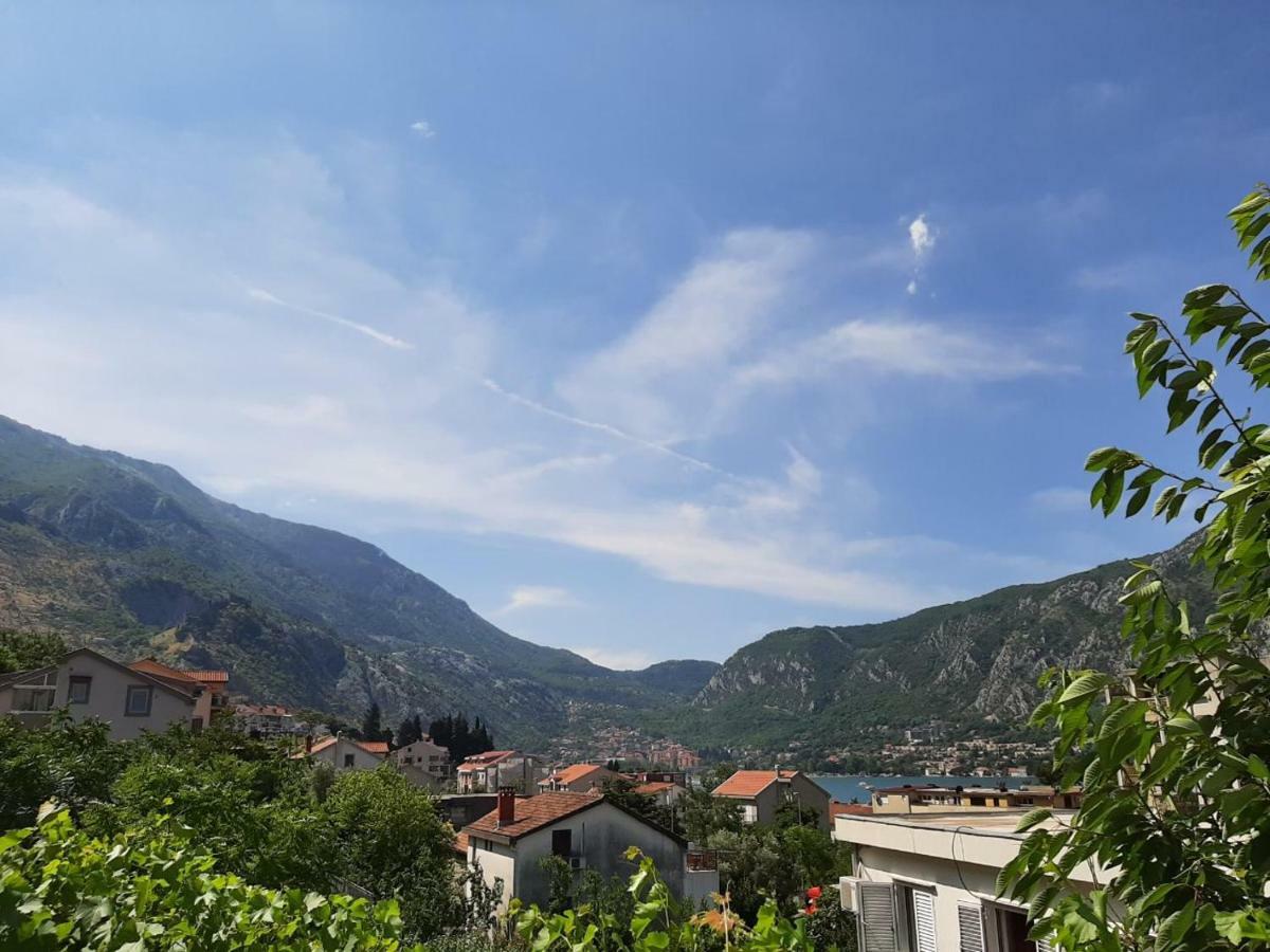 Apartments Dakovic Котор Экстерьер фото